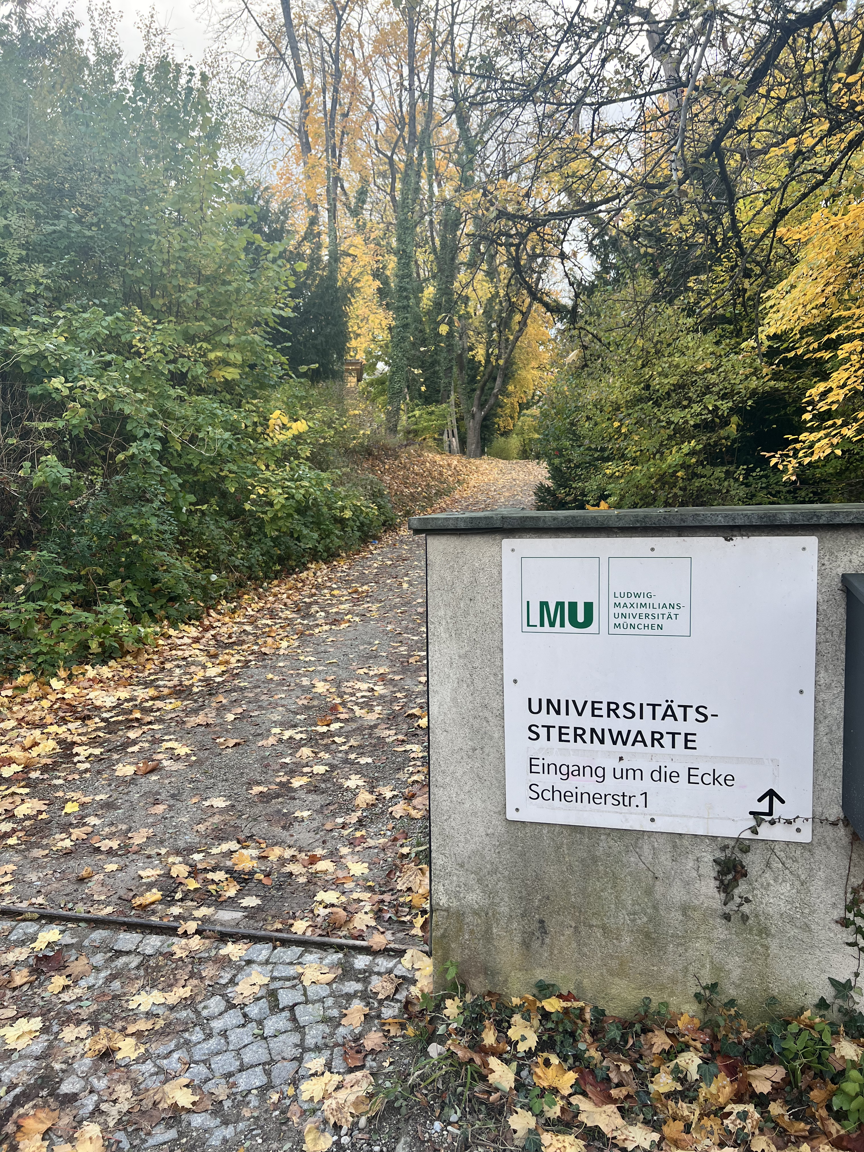 LMU
