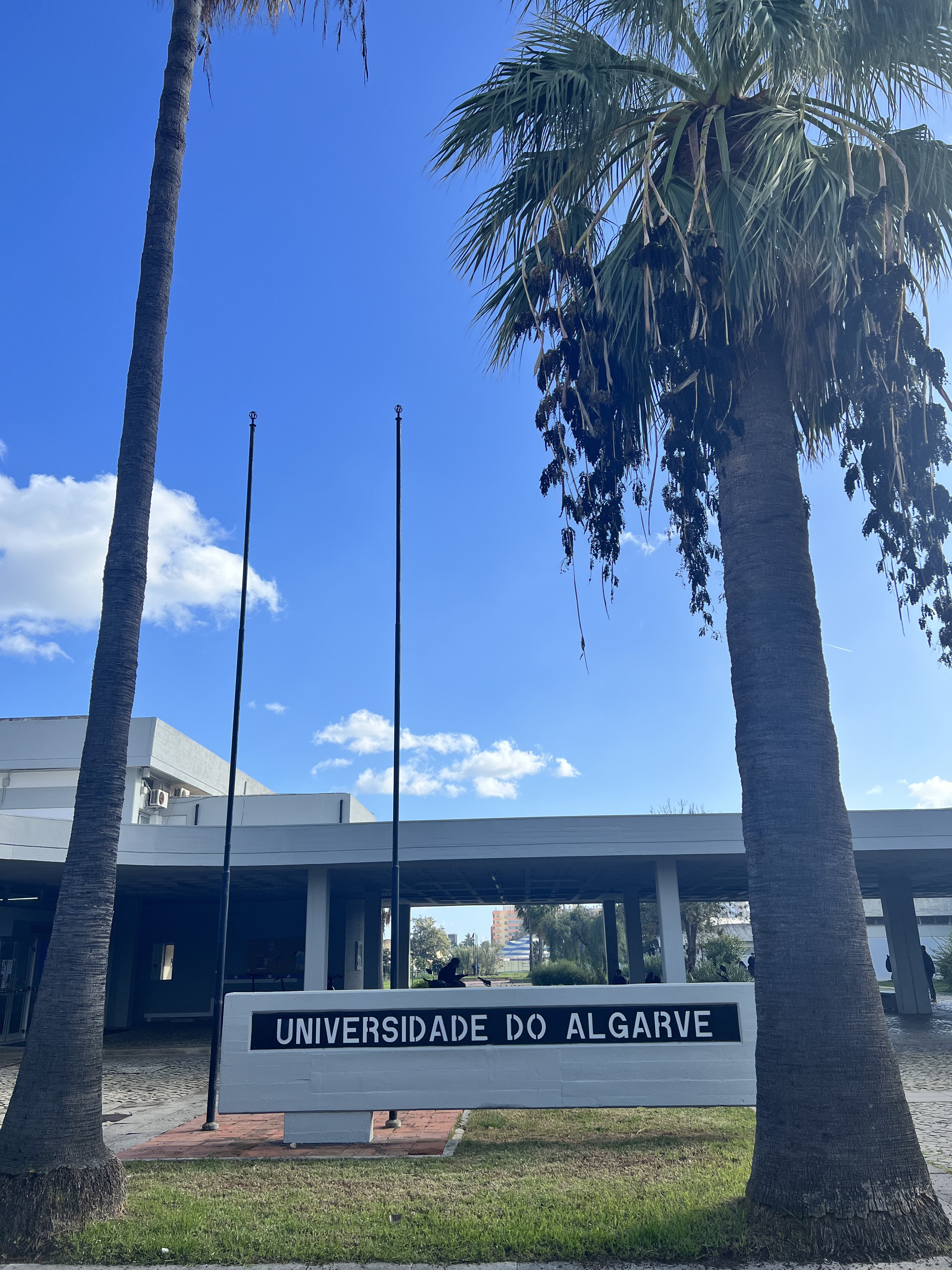 UAlg